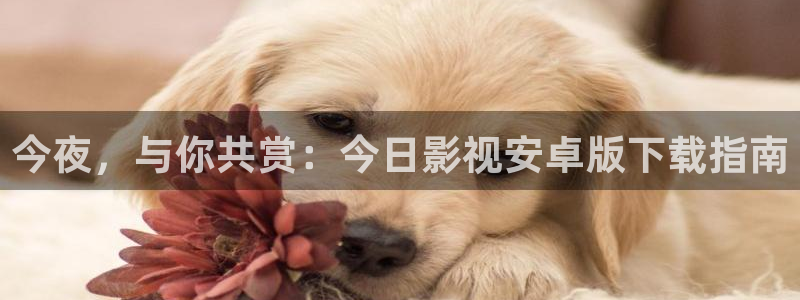 蜜桃在线免费影院